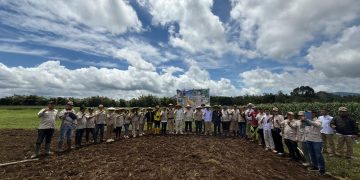 Tani Merdeka Sulut Gebrak Minahasa dengan Gerakan Tanam Jagung, Wujudkan Kedaulatan Pangan!