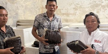 DPW TMI Sulut Pantau Persiapan Ekspor Vanili Mitra, Ketum TMI Nasional Beri Apresiasi